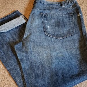 Ann Taylor Loft Denim Jeans